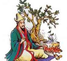 Ceaiul "Kudin" și proprietățile sale