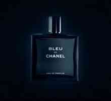 Chanel de Bleu - parfumuri pentru bărbați, dedicate masculinității și sexualității