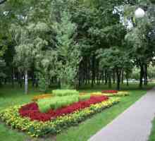 Parcul Chapayevsky sau Parcul Aviatorului: o mică insulă verde într-un oraș mare