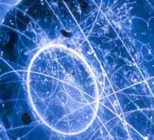 Particula unui neutrino: definiție, proprietăți, descriere. Oscilațiile neutrinelor sunt ...