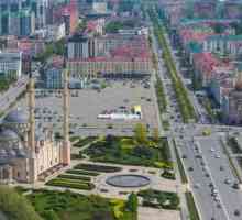 Cecenia este ... Subiectul Republicii Cecene a Federației Ruse