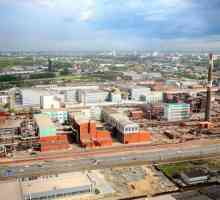 Uzina de zinc din Chelyabinsk: istorie, producție