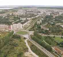 Este cunoscut orașul Tosno din regiunea Leningrad