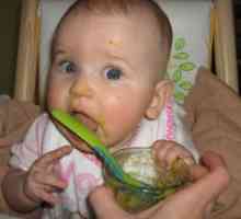 Ce să hrăniți copilul cu 5,5 luni. Alimente pentru copii. Tabel de hrănire pentru copii
