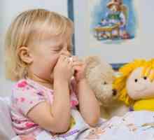 Ce să hrăniți un copil cu infecție cu rotavirus: meniuri, rețete și caracteristici nutriționale