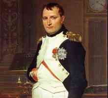 Cum putem explica compoziția multinațională a armatei lui Napoleon: cauze și consecințe