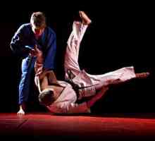 Ceea ce distinge sambo de judo: asemănări, diferențe și răspunsuri