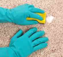 Cum pot curăța covorul acasă? Metode de bază
