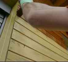 Cum să pictezi o casă de lemn din exterior? Alegeți materialul potrivit