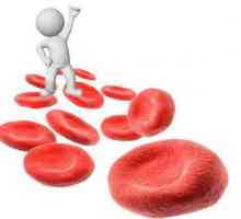 Mai degrabă decât pentru a crește hemoglobina în timpul sarcinii: lista de produse, preparate și…