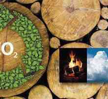 Care este căldura specifică de ardere a lemnului de foc?