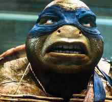 Teenage Mutant Ninja Turtles: Leonardo. Aspect, arme, caracter și biografia personajului
