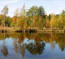 Lacul Negru (Zelenograd): planificăm sărbătorile de vară