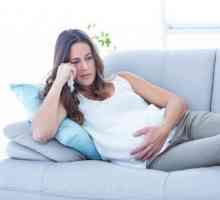 Culoarea neagră a fecalelor în timpul sarcinii: cauze posibile, consecințe și caracteristici ale…