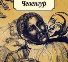 Chevengur: un scurt rezumat. Chevengur - romanul scriitorului rus A. Platonov