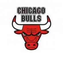 `Chicago Bulls`: istorie, tradiții, compoziție