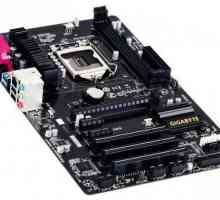 Chipset Intel H81: specificații, recenzii