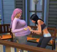 Trucuri pe "The Sims 4" pentru gemeni, tripleți, pentru sarcină rapidă