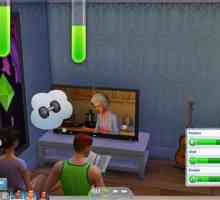 Cheat codurile pentru "The Sims 4" pentru nevoi: cum să aplicați
