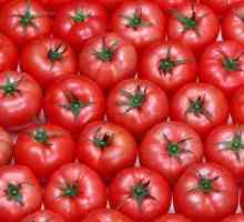 Ce înseamnă să visezi la tomate? Interpretul de vis va cere răspunsul