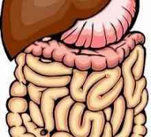 Ce arată RMN-ul intestinului? Metode de examinare intestinală