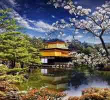 Ce să vedem în Kyoto? Prefectura Japoniei surprinde turiștii cu atracții unice