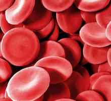 Ceea ce ridică hemoglobina în sânge: remedii folclorice și medicale