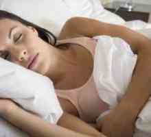 Ce se întâmplă în organism în timpul somnului? Procese în organism în timpul somnului