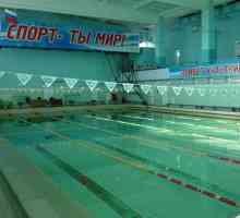Ce este piscina "Torpedo" din Ulyanovsk