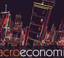 Ce este macro și microeconomia?