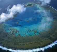Ce este un atol? Structura și etapele educației