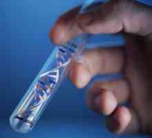 Ce este ADN-ul, care sunt funcțiile și semnificația acestuia pentru organismele vii