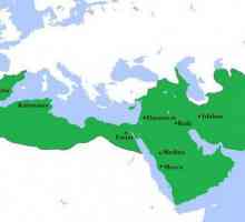 Care este califatul: definiția. Statul feudal arabo-musulman de la antichitate până în prezent