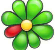 Ce este ICQ? Cum se instalează ICQ pentru Windows sau Android