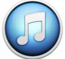 Ce este iTunes și cum să îl folosiți