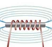 Ce este un electromagnet? Tipurile și scopurile lor