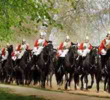 Ce este un regiment de cavalerie? Istoria cavaleriei din Rusia