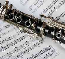 Ce este un clarinet? Tipuri de clarinete