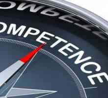 Ce este competența? Competențe de bază și evaluarea acestora. Competențele profesorului și…