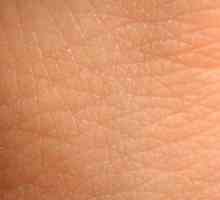 Care este pielea și semnificația acesteia pentru corpul uman