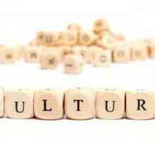 Ce este culturologia? Relația dintre culturologie și alte științe