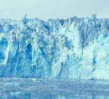 Ce este un ghețar? Poluarea ghețarilor. Unde sunt și cum sunt formate ghețarii?