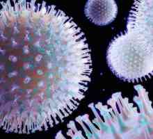 Care este morfologia microorganismelor?