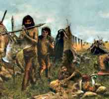 Ce este revoluția neolitică: cauze și trăsături