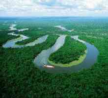 Ce este un sistem fluvial? Râul principal și afluenții