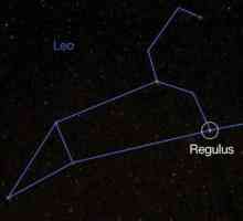 Ce este Regulus? Caracteristicile și caracteristicile stelei