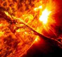 Ce sunt petele solare? Ce se știe despre pete solare în soare