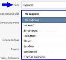 Ce este VKontakte SP și cum se instalează