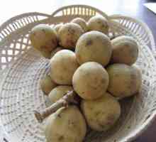 Ce fel de fruct este un longan, unde este cultivat, cum este mâncat și cât de util este