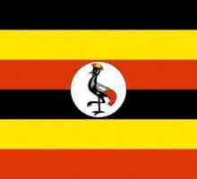 Ce fel de pasăre este descrisă pe steagul Ugandei? Istoricul și descrierea drapelului țării